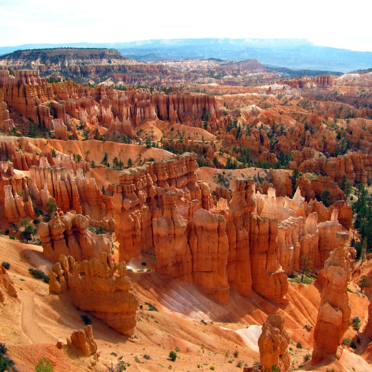 aventurta turismo canyons